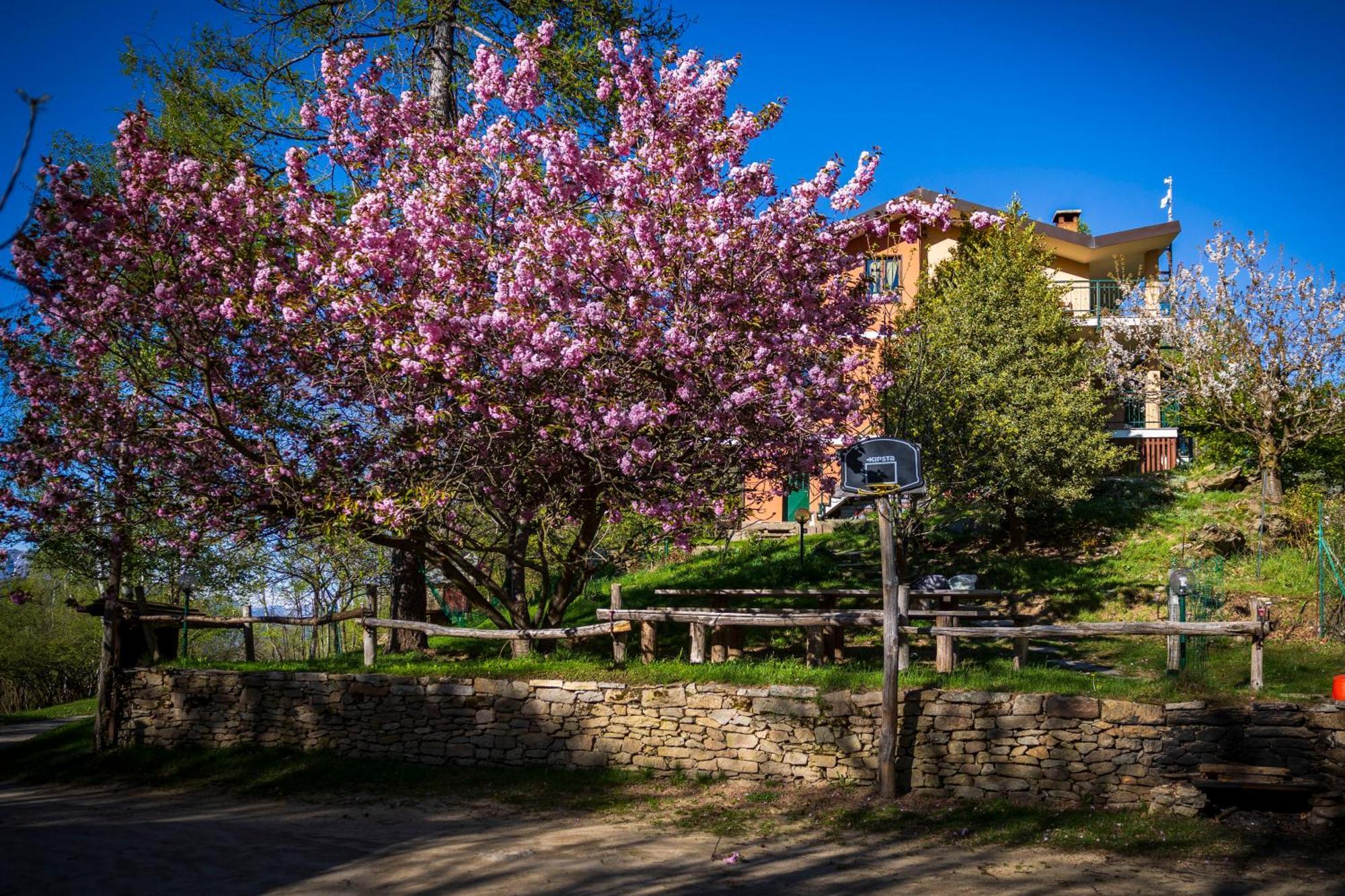 Giaveno B&B Pian Savin المظهر الخارجي الصورة
