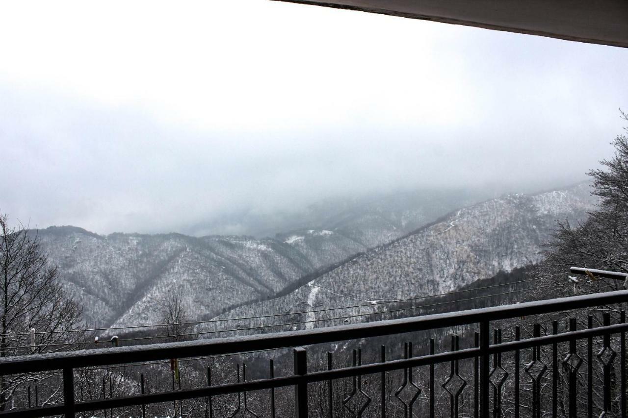 Giaveno B&B Pian Savin المظهر الخارجي الصورة