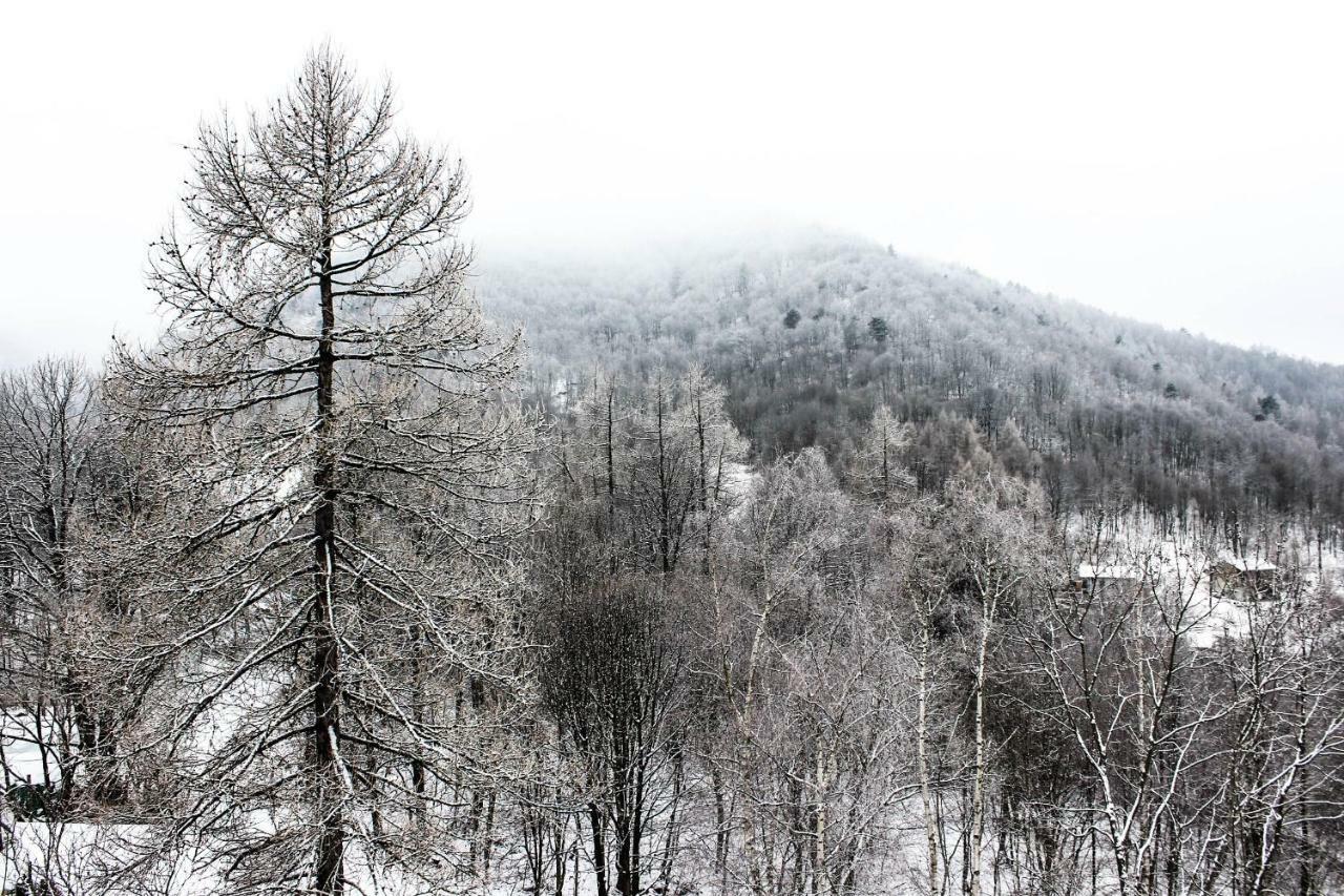 Giaveno B&B Pian Savin المظهر الخارجي الصورة